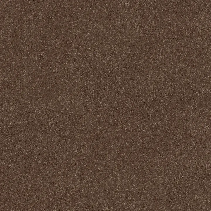 Shaw Floors Newbern Classic 15' — Winter Wheat · E0950-55791 — flooring selection with LeviArs Design & Remodeling