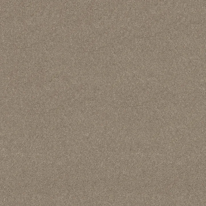 Shaw Floors Newbern Classic 15' — Antique Silk · E0950-00131 — flooring selection with LeviArs Design & Remodeling