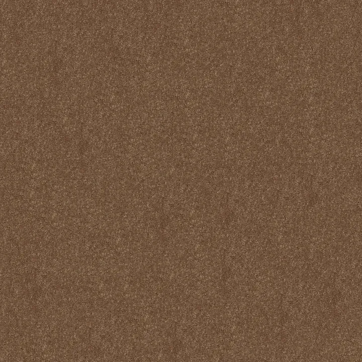 Shaw Floors Newbern Classic 15' — Candied Truffle · E0950-55750 — flooring selection with LeviArs Design & Remodeling