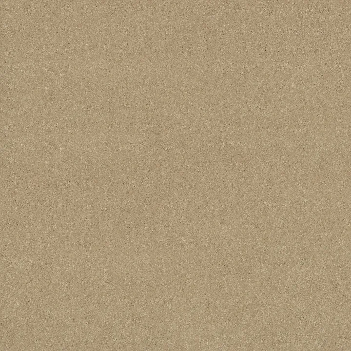 Shaw Floors Newbern Classic 15' — Casual Cream · E0950-00230 — flooring selection with LeviArs Design & Remodeling
