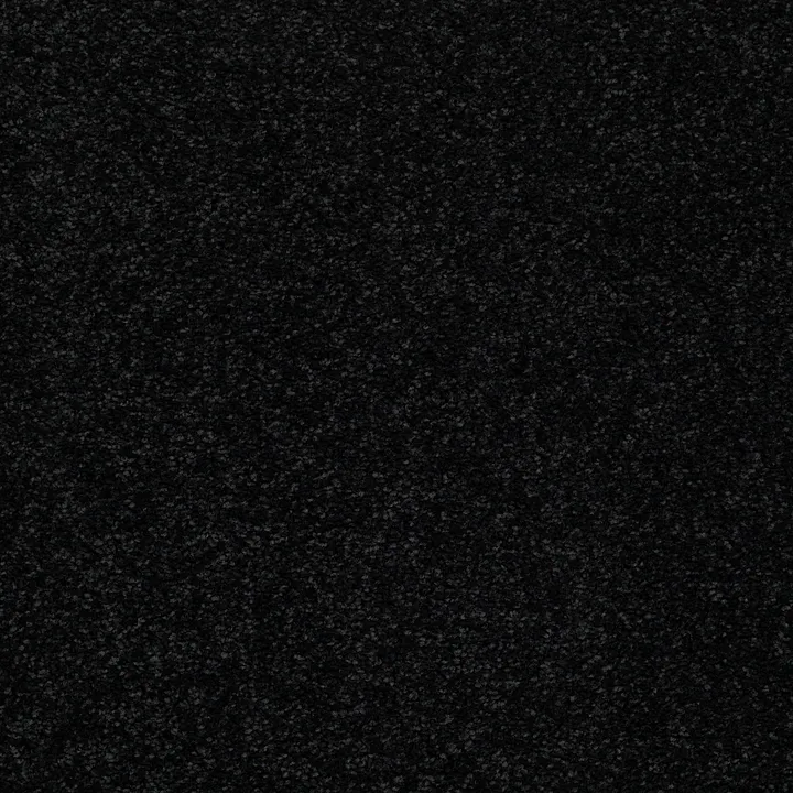 Shaw Floors Newbern Classic 15' — Coal Black · E0950-55502 — flooring selection with LeviArs Design & Remodeling