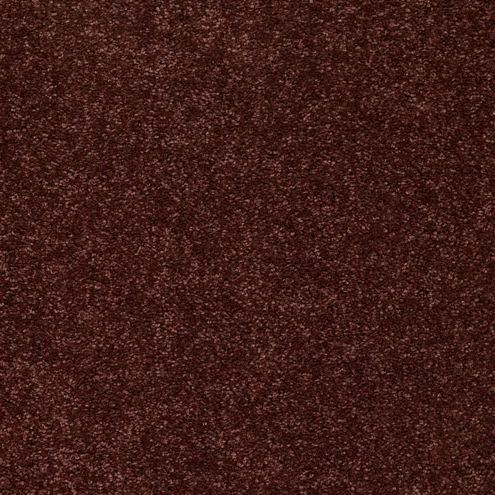 Shaw Floors Newbern Classic 15' — Coffee · E0950-55755 — flooring selection with LeviArs Design & Remodeling