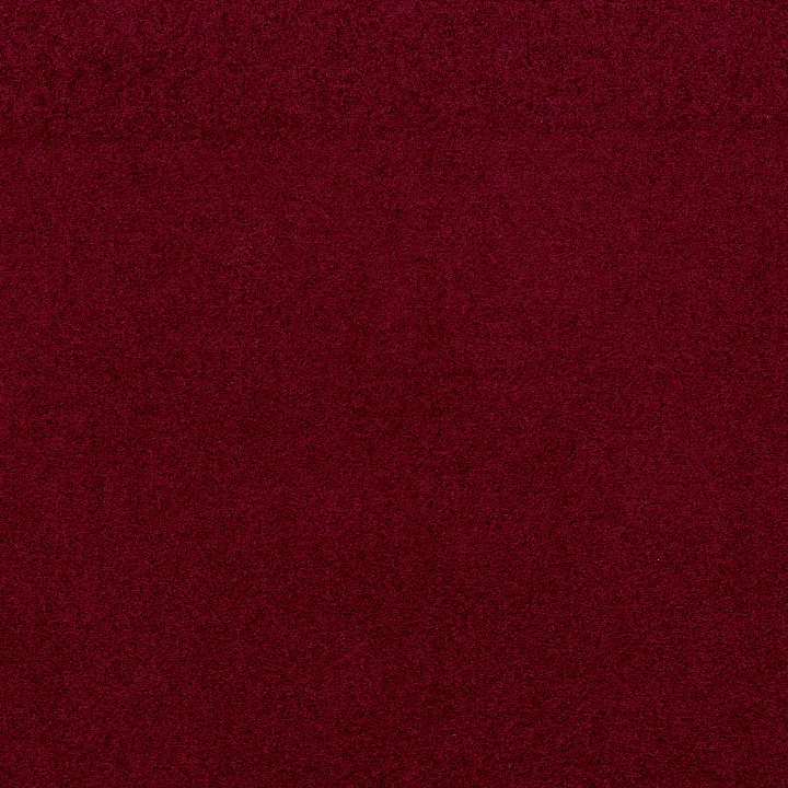 Shaw Floors Newbern Classic 15' — Crimson · E0950-55803 — flooring selection with LeviArs Design & Remodeling