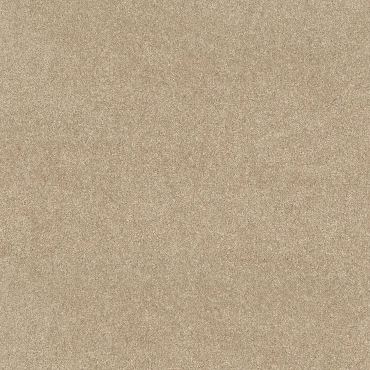 Shaw Floors Newbern Classic 15' — Crisp Linen · E0950-00109 — flooring selection with LeviArs Design & Remodeling