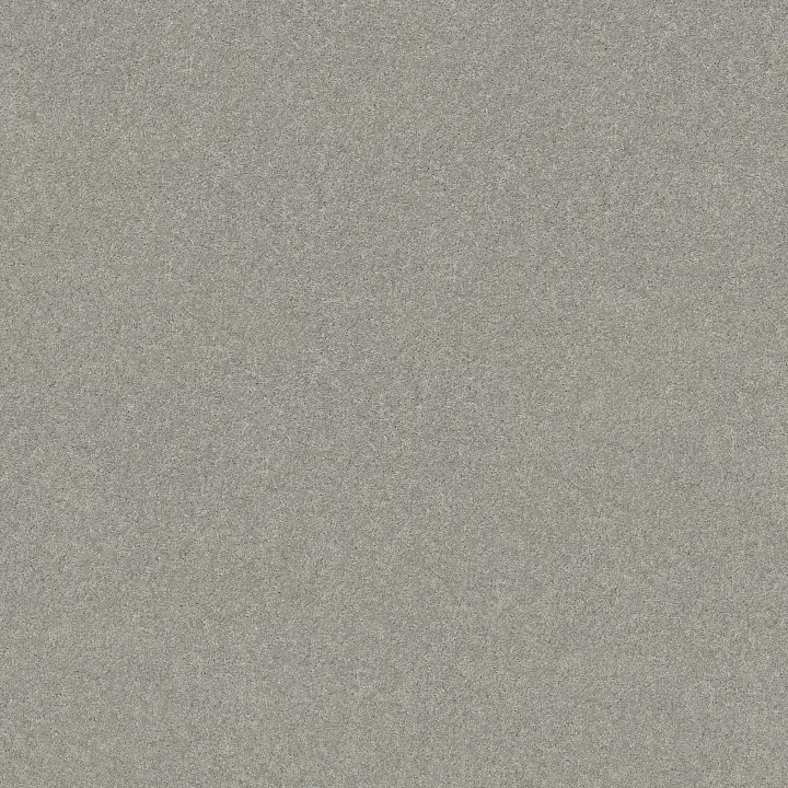 Shaw Floors Newbern Classic 15' — Morning Fog · E0950-00530 — flooring selection with LeviArs Design & Remodeling