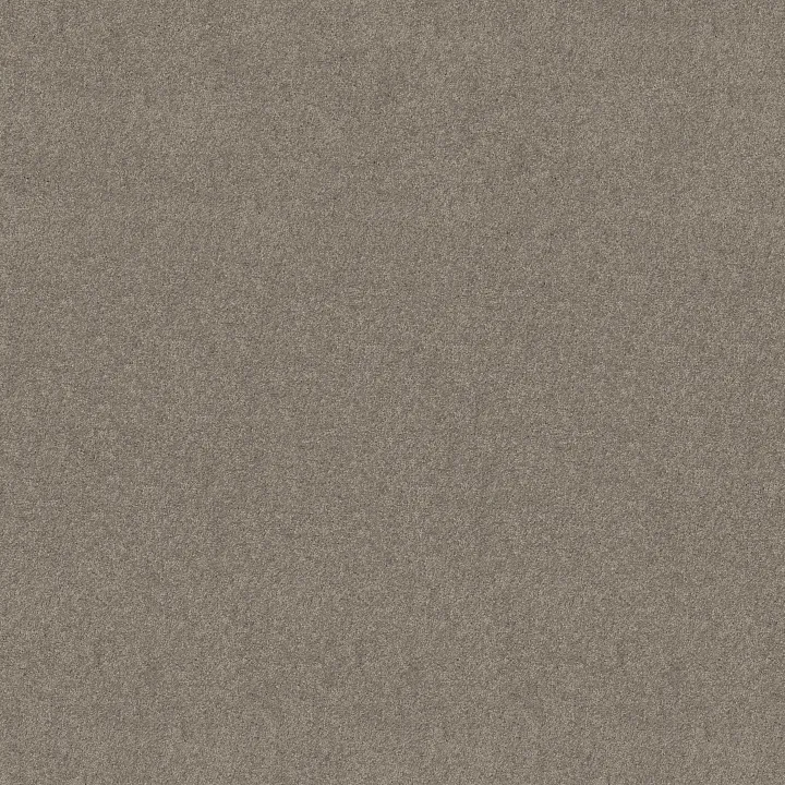 Shaw Floors Newbern Classic 15' — Pebble Path · E0950-00132 — flooring selection with LeviArs Design & Remodeling
