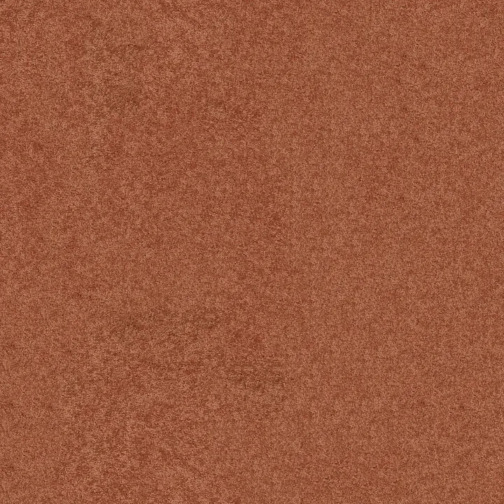 Shaw Floors Newbern Classic 15' — Sunburst · E0950-00630 — flooring selection with LeviArs Design & Remodeling