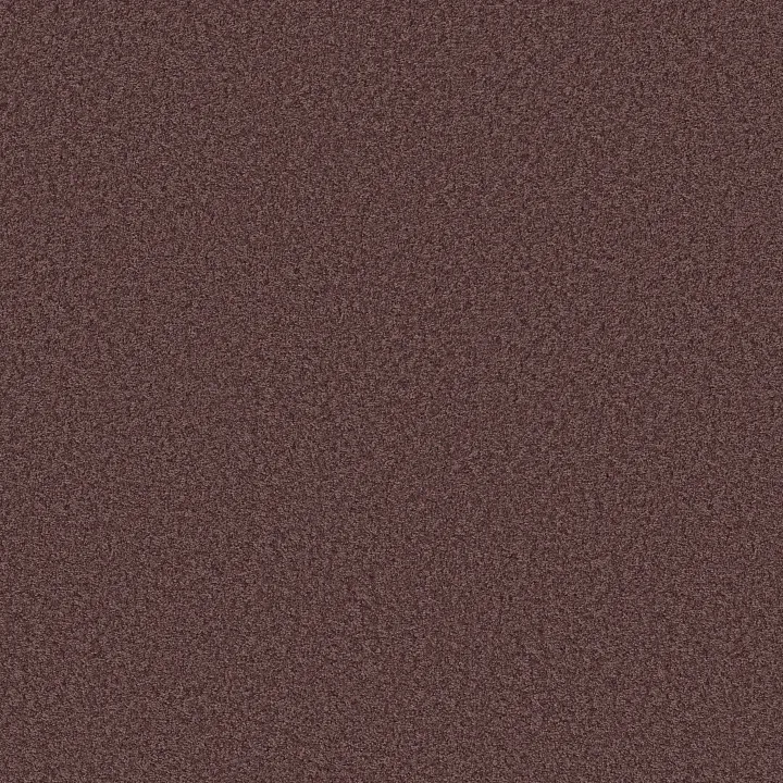Shaw Floors Ocean Pines 12' — Amethyst Sky · EA041-00900 — flooring selection with LeviArs Design & Remodeling