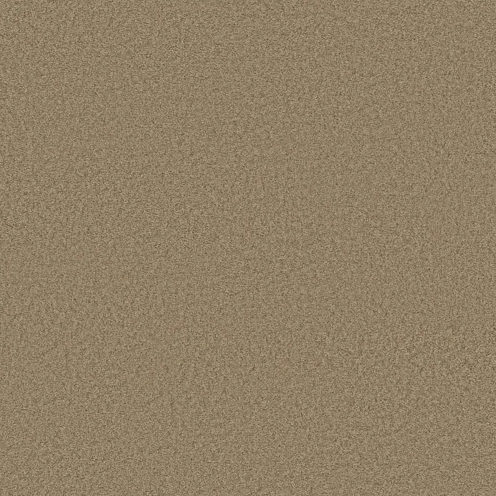 Shaw Floors Ocean Pines 12' — Bungalow · EA041-00701 — flooring selection with LeviArs Design & Remodeling