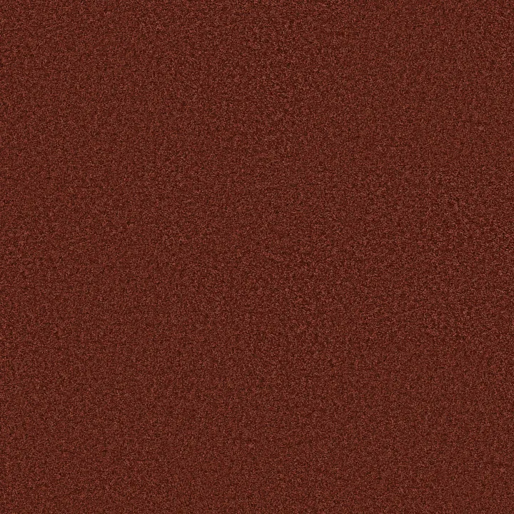 Shaw Floors Ocean Pines 12' — Cayenne · EA041-00800 — flooring selection with LeviArs Design & Remodeling
