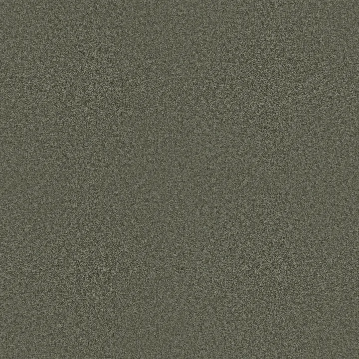 Shaw Floors Ocean Pines 12' — Central Park · EA041-00301 — flooring selection with LeviArs Design & Remodeling