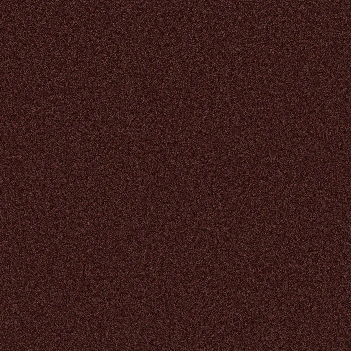 Shaw Floors Ocean Pines 12' — Chianti · EA041-00801 — flooring selection with LeviArs Design & Remodeling