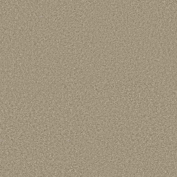 Shaw Floors Ocean Pines 12' — Gallery · EA041-00103 — flooring selection with LeviArs Design & Remodeling