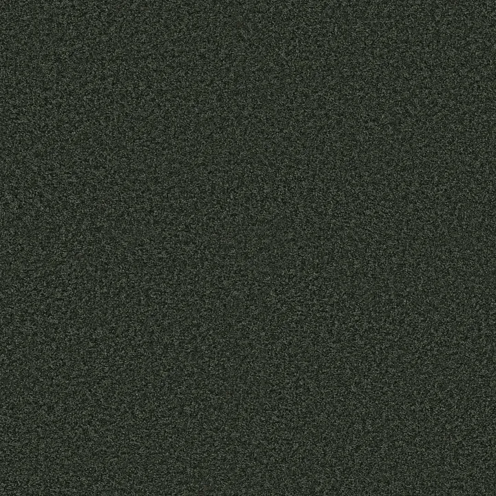 Shaw Floors Ocean Pines 12' — Jaden · EA041-00302 — flooring selection with LeviArs Design & Remodeling