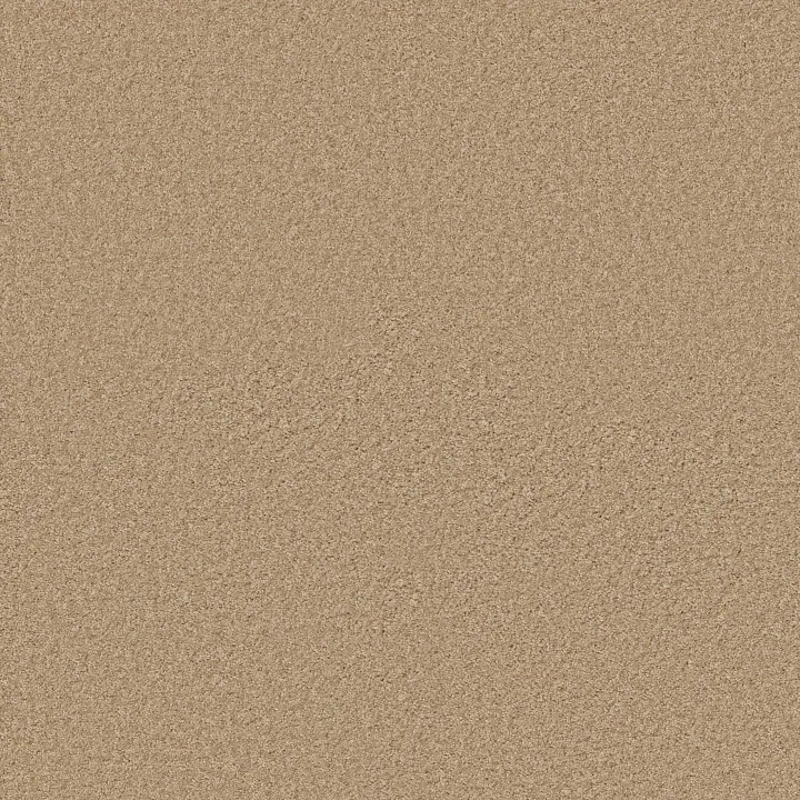 Shaw Floors Ocean Pines 12' — Light Aspiratio · EA041-00101 — flooring selection with LeviArs Design & Remodeling