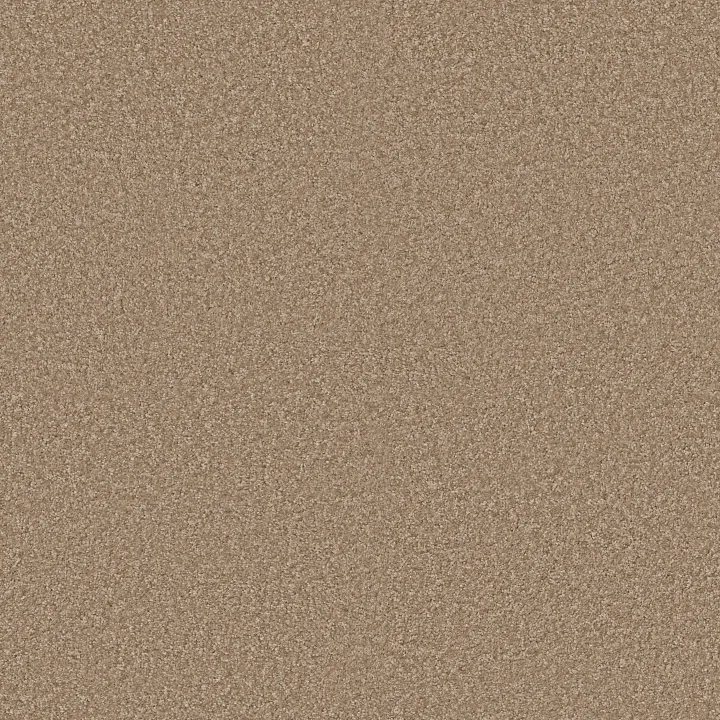 Shaw Floors Ocean Pines 12' — Macaroon · EA041-00104 — flooring selection with LeviArs Design & Remodeling