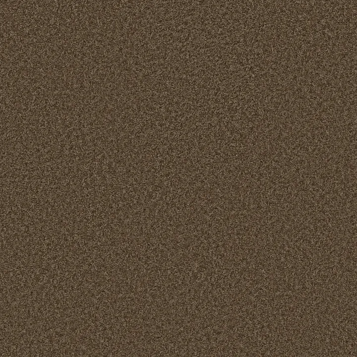 Shaw Floors Ocean Pines 12' — Montana · EA041-00714 — flooring selection with LeviArs Design & Remodeling