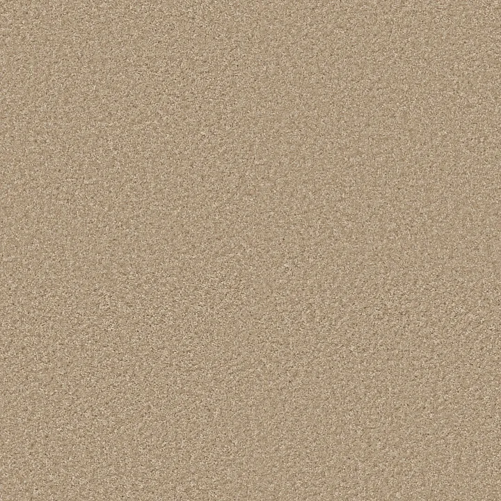 Shaw Floors Ocean Pines 12' — Muslin · EA041-00102 — flooring selection with LeviArs Design & Remodeling