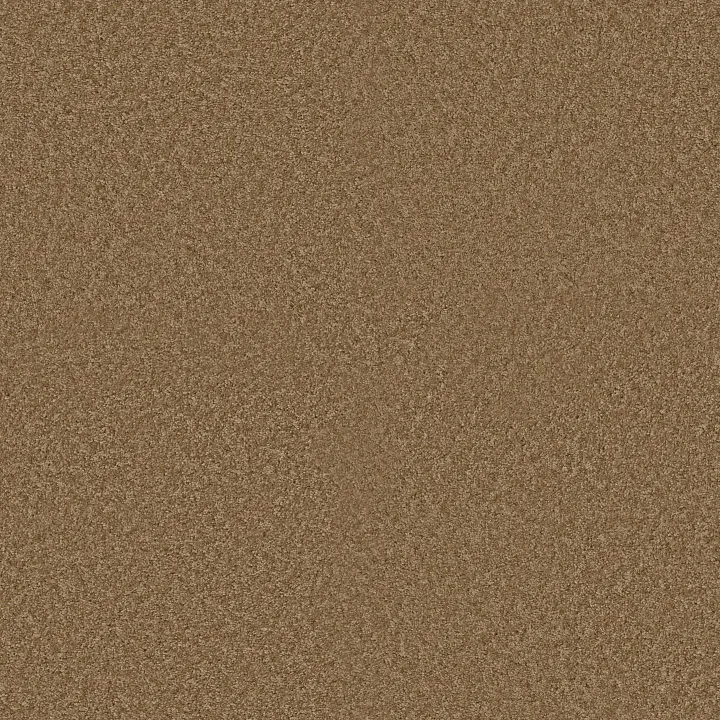 Shaw Floors Ocean Pines 12' — New Cork · EA041-00200 — flooring selection with LeviArs Design & Remodeling