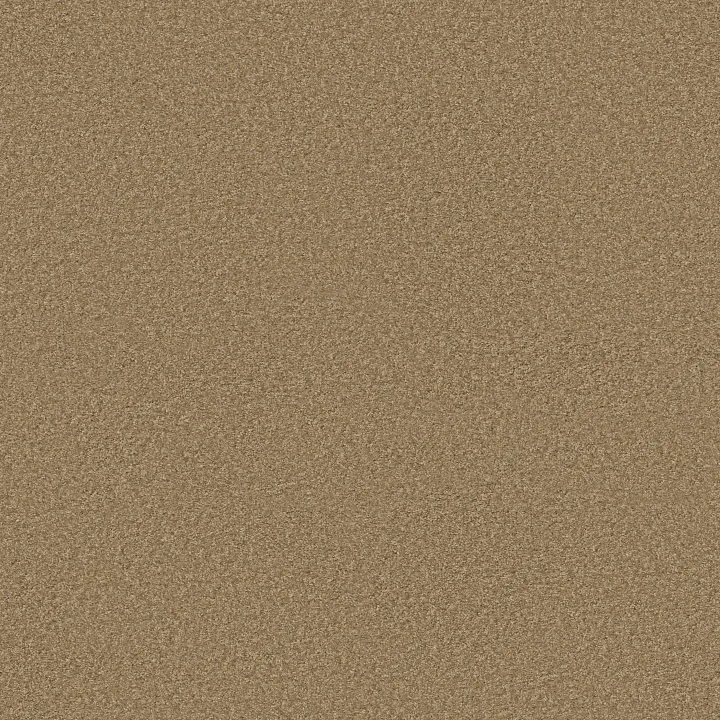 Shaw Floors Ocean Pines 12' — Reed · EA041-00201 — flooring selection with LeviArs Design & Remodeling