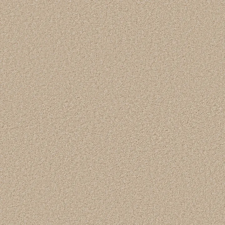 Shaw Floors Ocean Pines 12' — Rice Paper · EA041-00110 — flooring selection with LeviArs Design & Remodeling