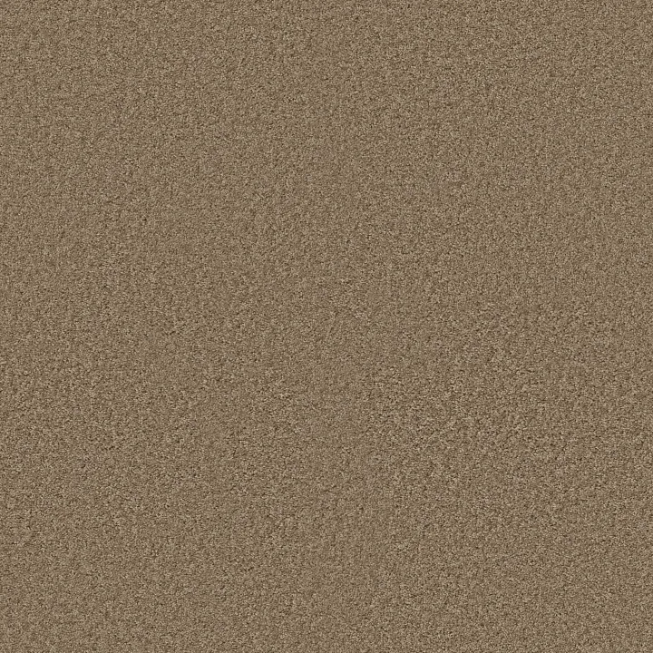 Shaw Floors Ocean Pines 12' — Ridgecrest · EA041-00702 — flooring selection with LeviArs Design & Remodeling