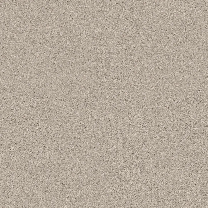 Shaw Floors Ocean Pines 12' — Sailcloth · EA041-00100 — flooring selection with LeviArs Design & Remodeling