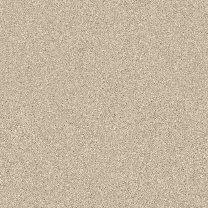 Shaw Floors Ocean Pines 12' — Sand Dollar · EA041-00106 — flooring selection with LeviArs Design & Remodeling