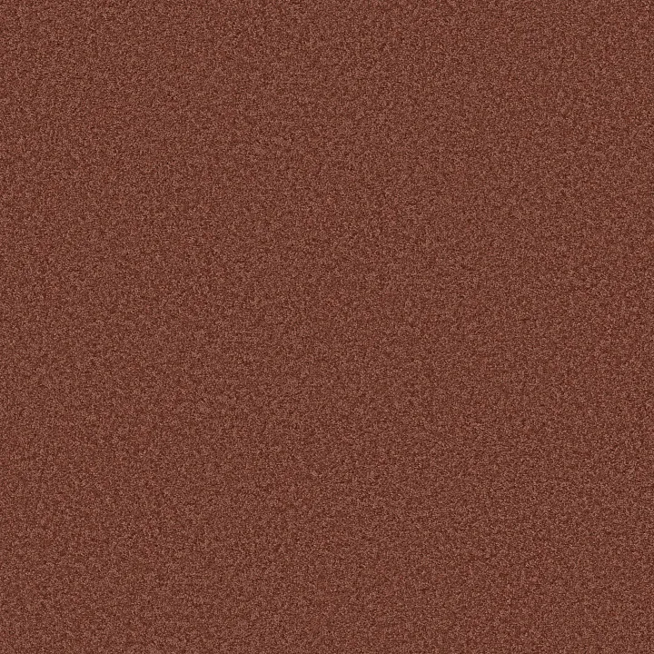 Shaw Floors Ocean Pines 12' — Sienna · EA041-00600 — flooring selection with LeviArs Design & Remodeling