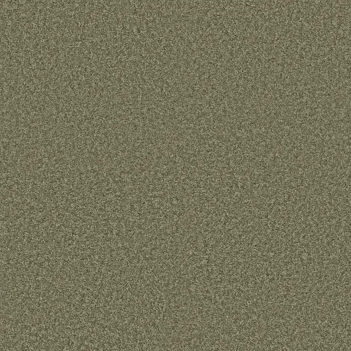 Shaw Floors Ocean Pines 12' — Spring Valley · EA041-00300 — flooring selection with LeviArs Design & Remodeling