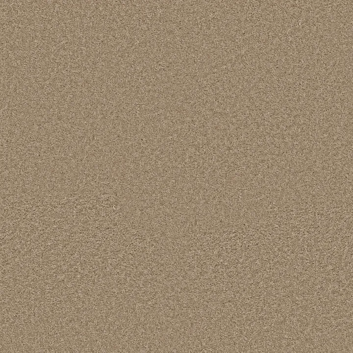 Shaw Floors Ocean Pines 12' — Veranda · EA041-00700 — flooring selection with LeviArs Design & Remodeling