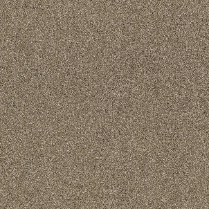 Shaw Floors Ocean View — Canoe · ZZ043-00773 — flooring selection with LeviArs Design & Remodeling