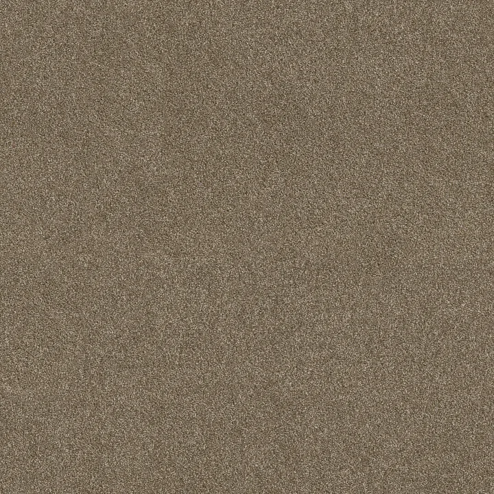 Shaw Floors Ocean View — Canyon Trail · ZZ043-00775 — flooring selection with LeviArs Design & Remodeling