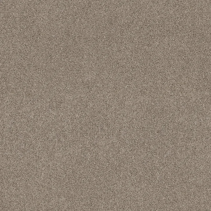 Shaw Floors Ocean View — Caribou · ZZ043-00756 — flooring selection with LeviArs Design & Remodeling