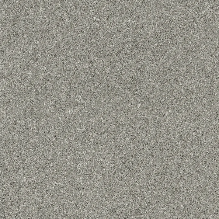 Shaw Floors Ocean View — Celtic · ZZ043-00523 — flooring selection with LeviArs Design & Remodeling