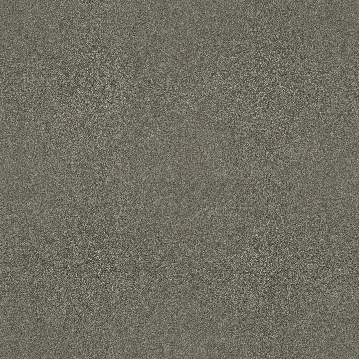 Shaw Floors Ocean View — City Gray · ZZ043-00558 — flooring selection with LeviArs Design & Remodeling