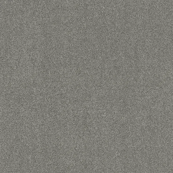 Shaw Floors Ocean View — Classic Stone · ZZ043-00545 — flooring selection with LeviArs Design & Remodeling