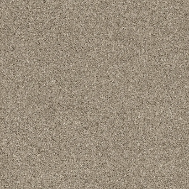 Shaw Floors Ocean View — Clay · ZZ043-00732 — flooring selection with LeviArs Design & Remodeling