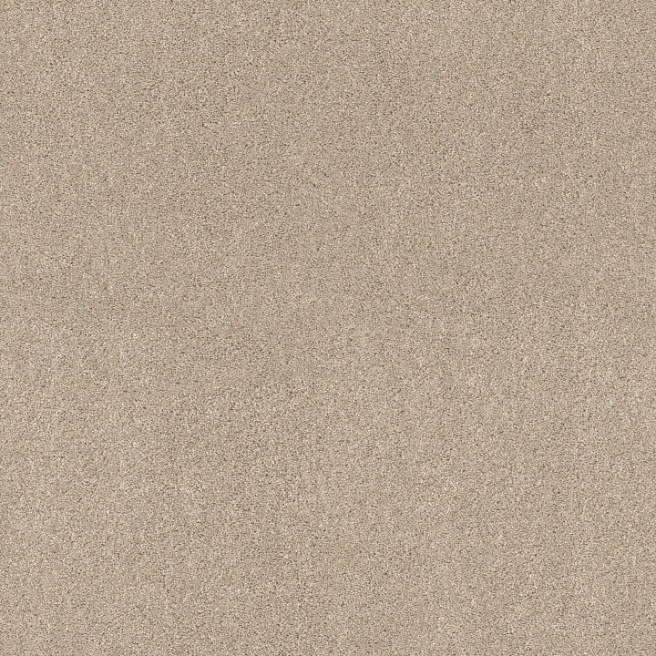 Shaw Floors Ocean View — Delicate · ZZ043-00113 — flooring selection with LeviArs Design & Remodeling