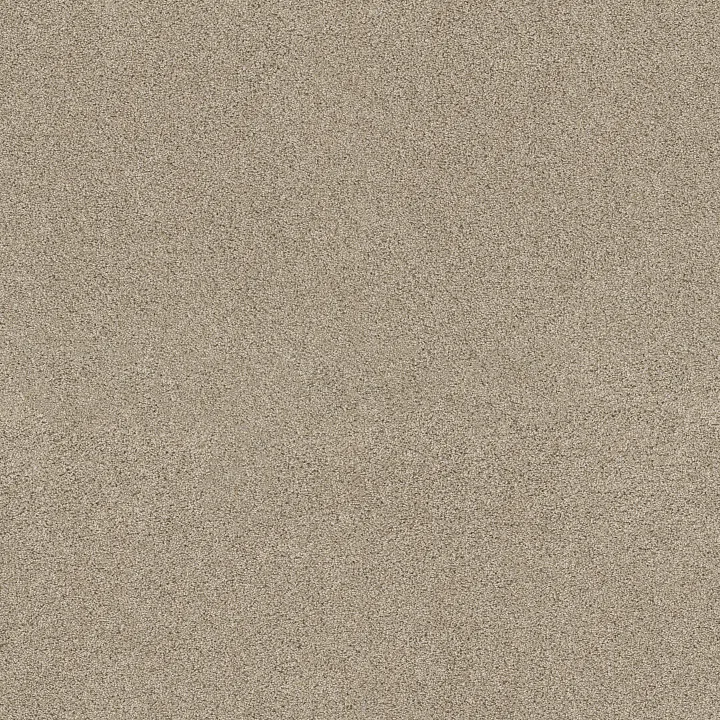 Shaw Floors Ocean View — Dhurrie · ZZ043-00133 — flooring selection with LeviArs Design & Remodeling
