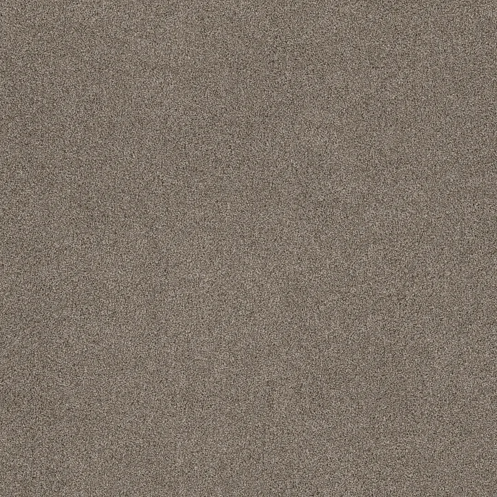 Shaw Floors Ocean View — Elusive · ZZ043-00537 — flooring selection with LeviArs Design & Remodeling