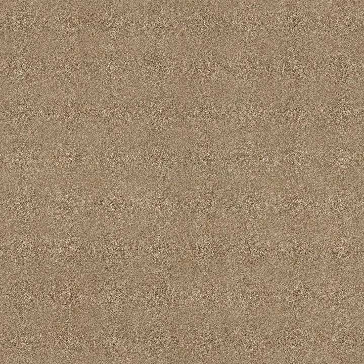 Shaw Floors Ocean View — Farro · ZZ043-00237 — flooring selection with LeviArs Design & Remodeling