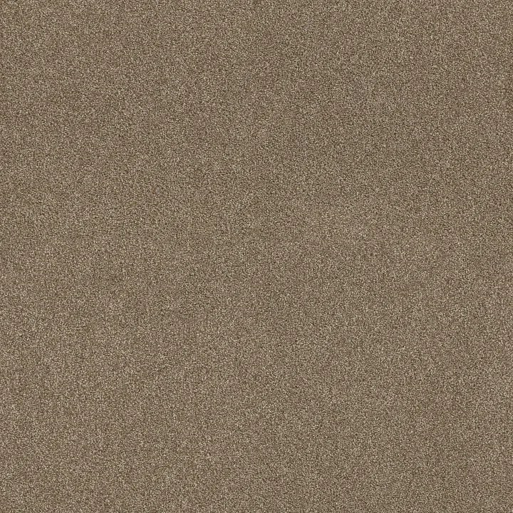 Shaw Floors Ocean View — Lodge · ZZ043-00736 — flooring selection with LeviArs Design & Remodeling