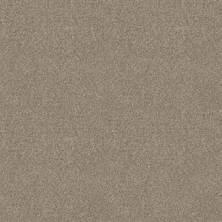 Shaw Floors Ocean View — Mushroom · ZZ043-00725 — flooring selection with LeviArs Design & Remodeling