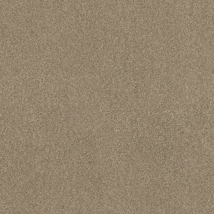 Shaw Floors Ocean View — Serengeti · ZZ043-00733 — flooring selection with LeviArs Design & Remodeling