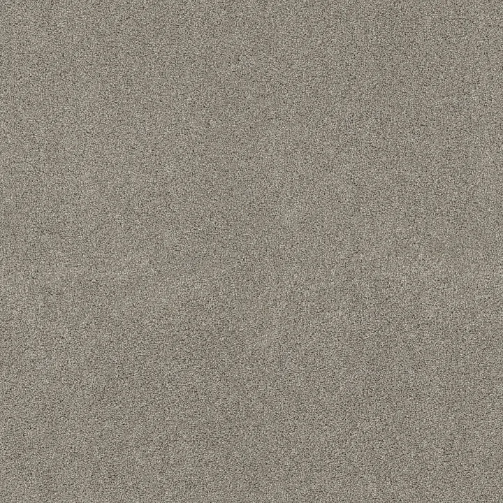 Shaw Floors Ocean View — Shadow · ZZ043-00534 — flooring selection with LeviArs Design & Remodeling