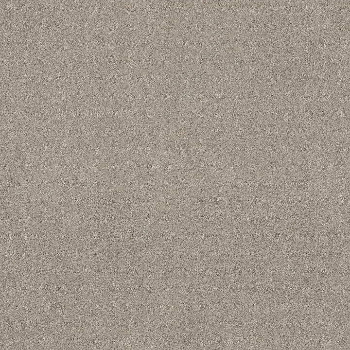 Shaw Floors Ocean View — Shale · ZZ043-00512 — flooring selection with LeviArs Design & Remodeling
