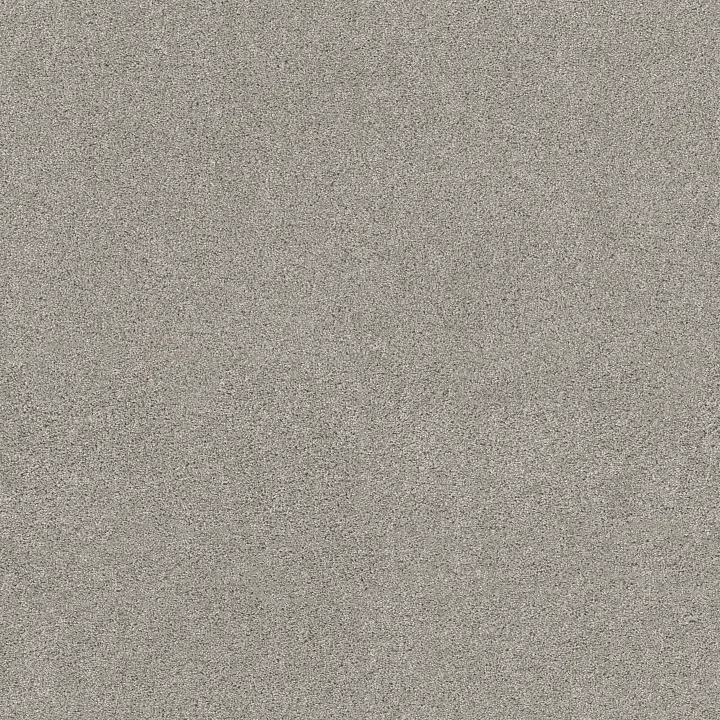 Shaw Floors Ocean View — Silver Screen · ZZ043-00542 — flooring selection with LeviArs Design & Remodeling