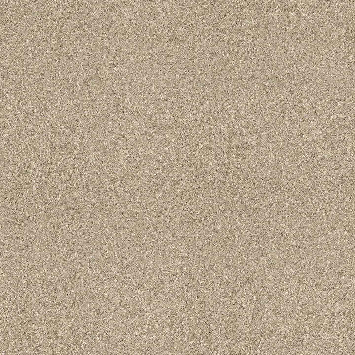 Shaw Floors Ocean View — Softer Tan · ZZ043-00123 — flooring selection with LeviArs Design & Remodeling