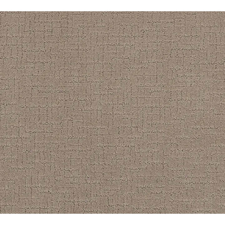 Shaw Floors One More Hour — Birchwood · ZZ233-00171 — flooring selection with LeviArs Design & Remodeling